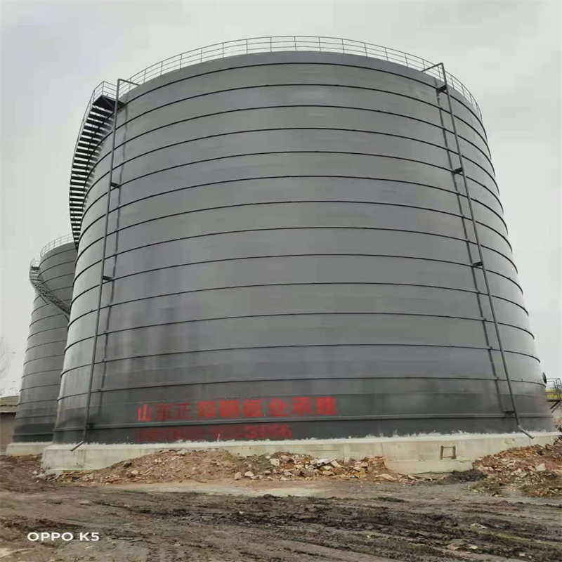 岱山3万吨大型钢板库