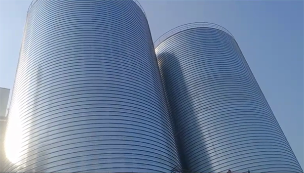 岱山2座混凝土高架卷板仓